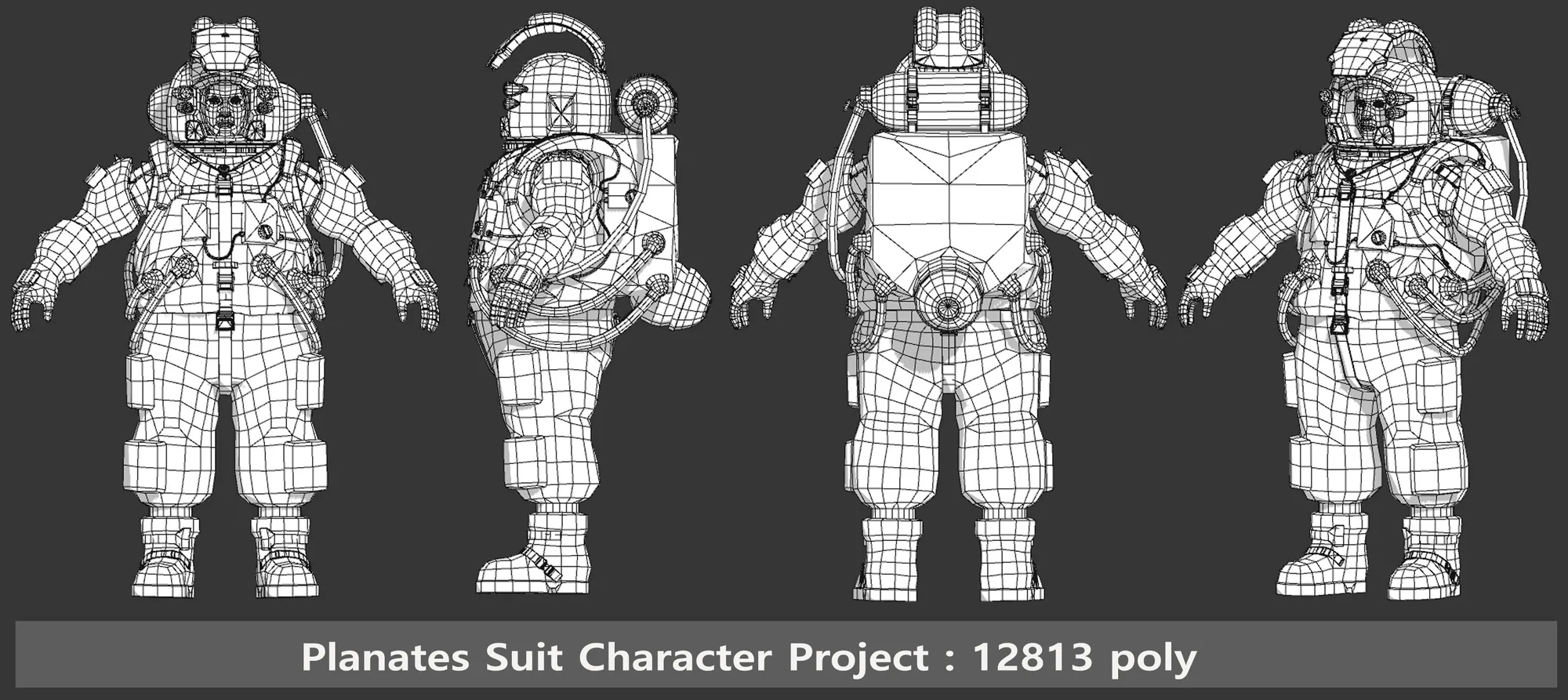 WireFrame Profile