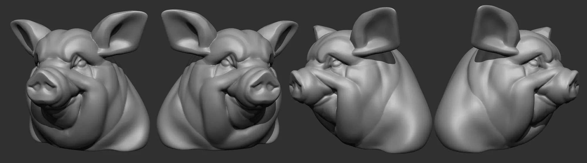 Pig
